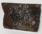 Preview: Slab Indo Jasper